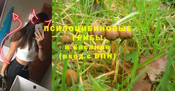 МДПВ Алзамай